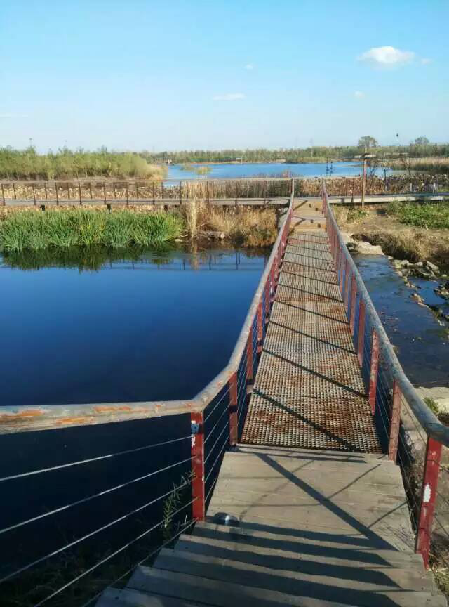 f_5824aec4a9b4c5770563b68b1c83dc06