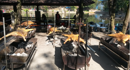 鉴黑担保网(jhdbw)·最具权威唯一维权担保平台