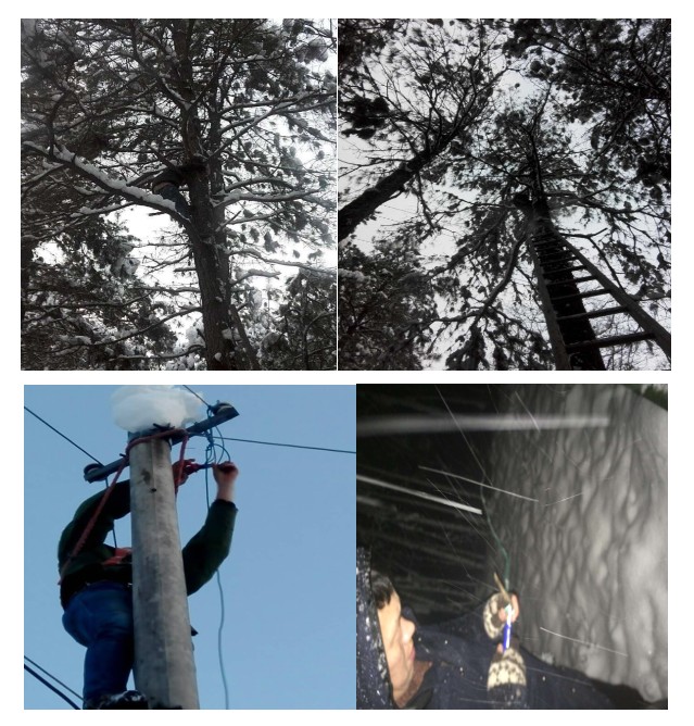 鉴黑担保网(jhdbw)·最具权威唯一维权担保平台