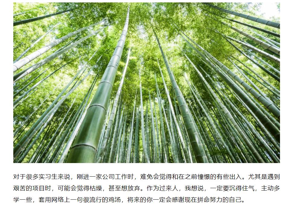 鉴黑担保网(jhdbw)·最具权威唯一维权担保平台