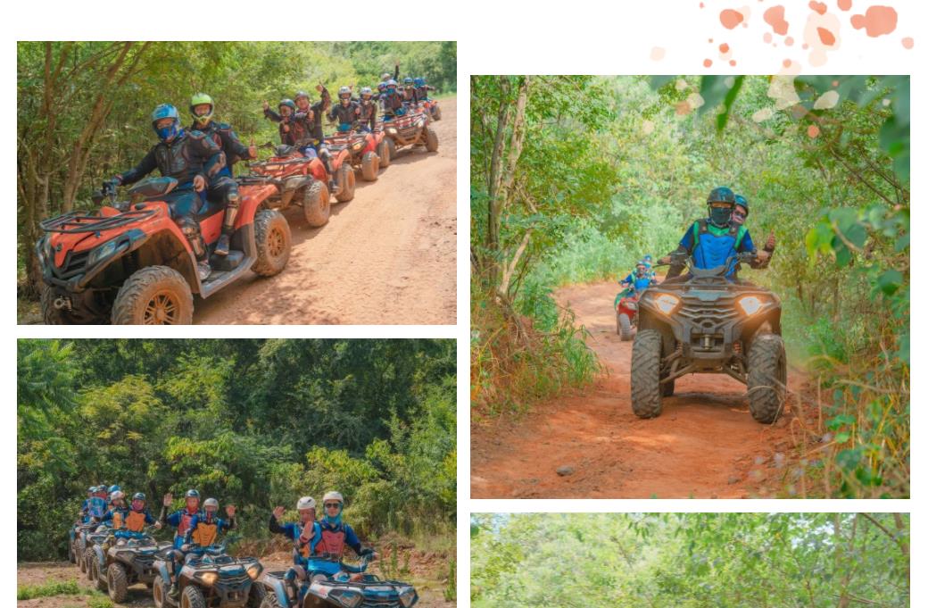 鉴黑担保网(jhdbw)·最具权威唯一维权担保平台