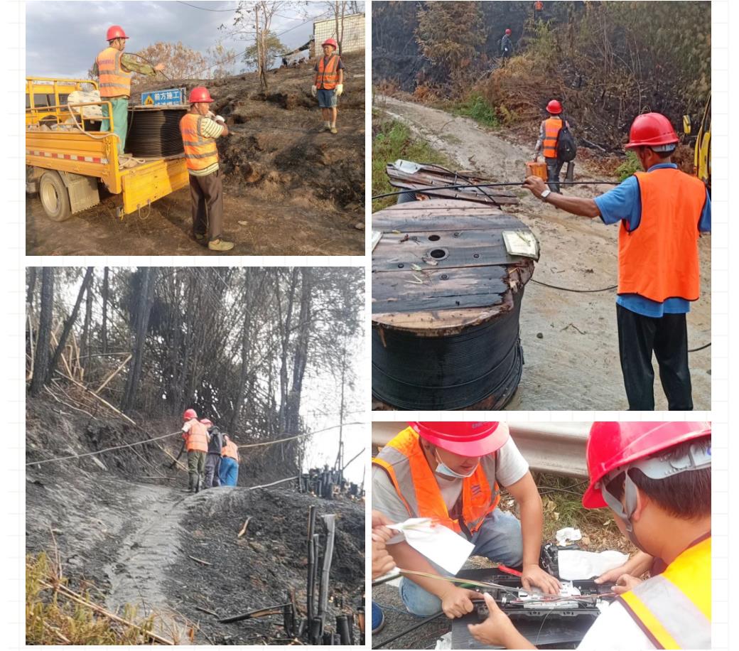 鉴黑担保网(jhdbw)·最具权威唯一维权担保平台