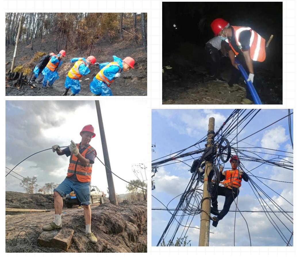 鉴黑担保网(jhdbw)·最具权威唯一维权担保平台